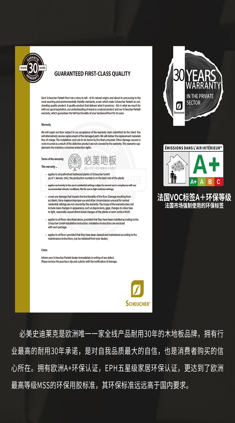 史迪萊克介紹_05.jpg